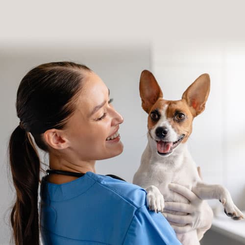 Su clínica veterinaria de confianza